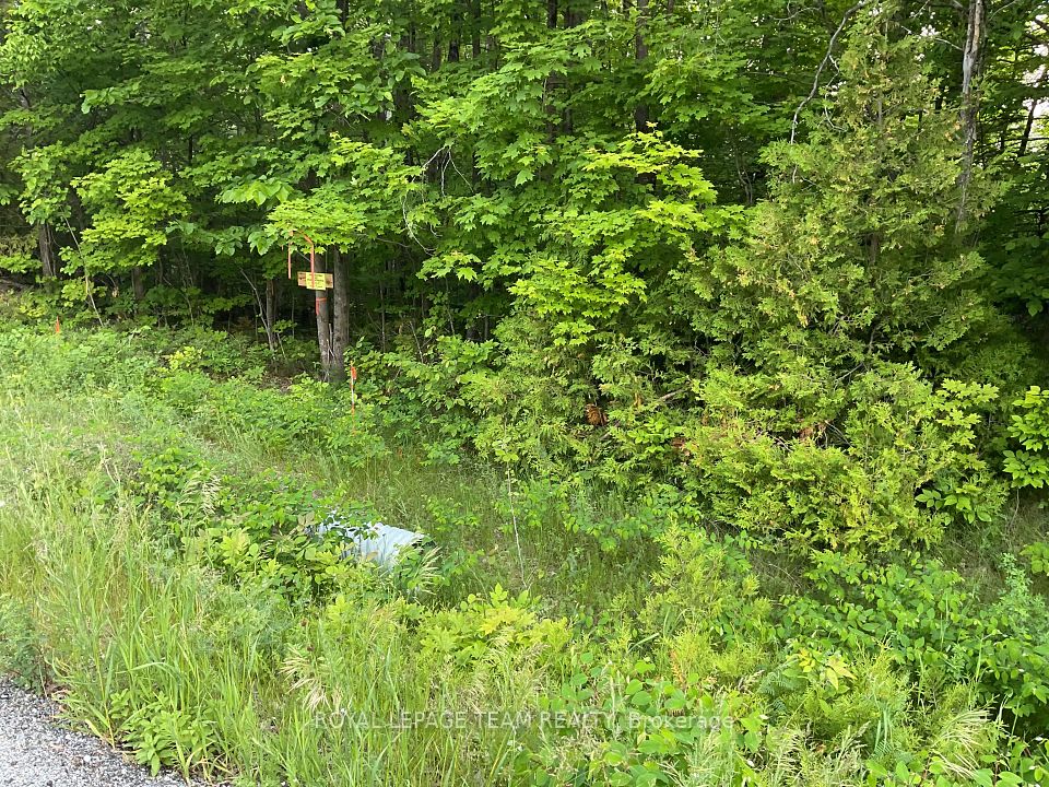 0 Cty Rd 511