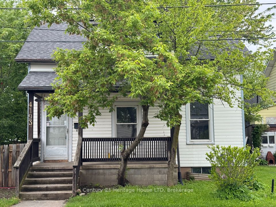 4193 Muir