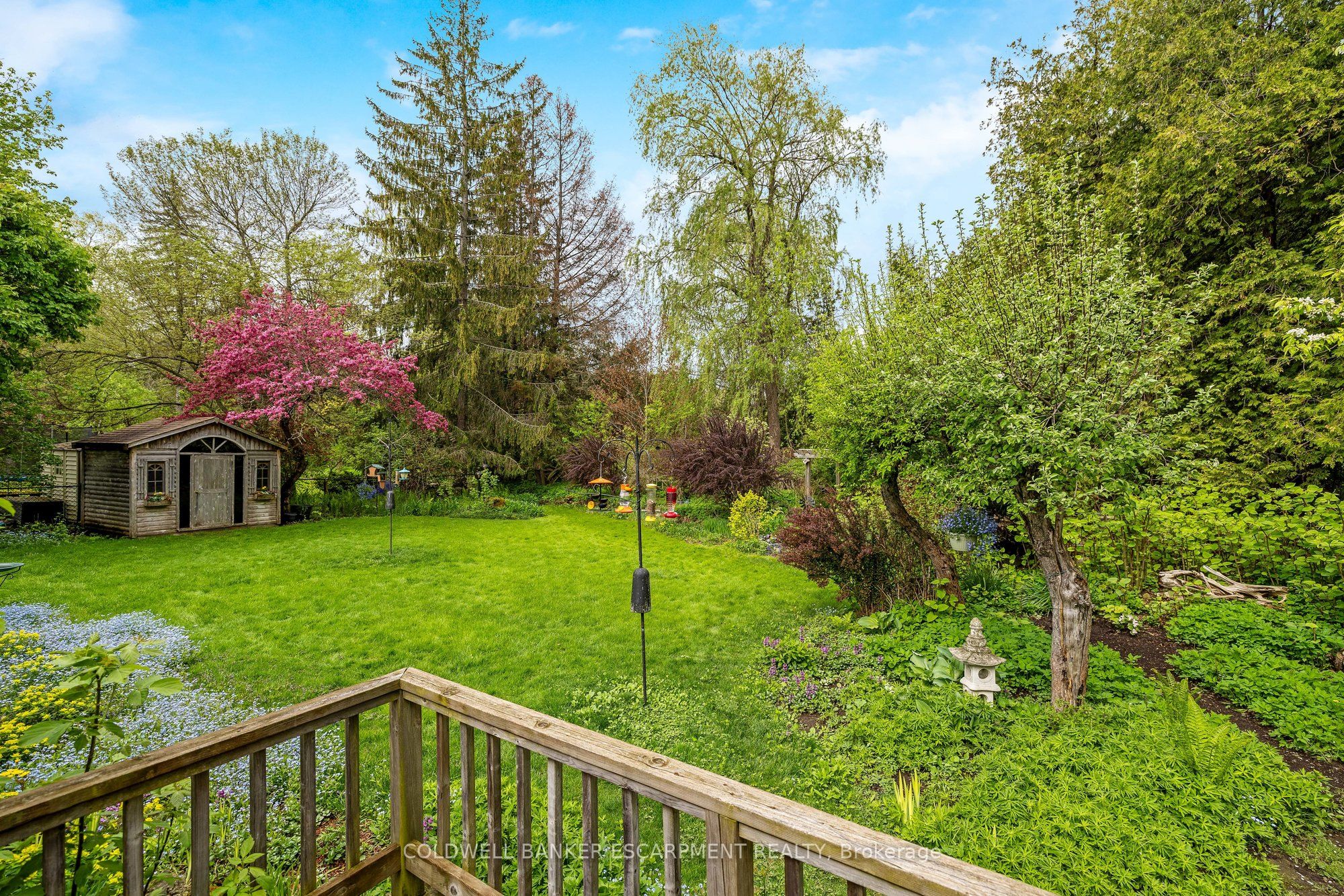 164 Elmore Drive