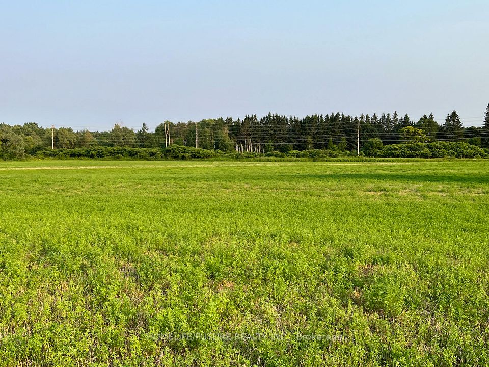 925 Townline