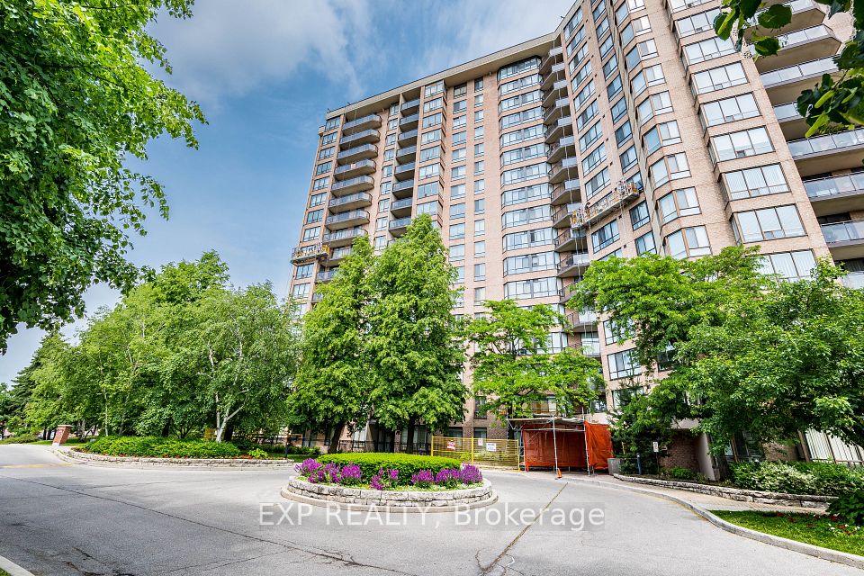 20 Cherrytree