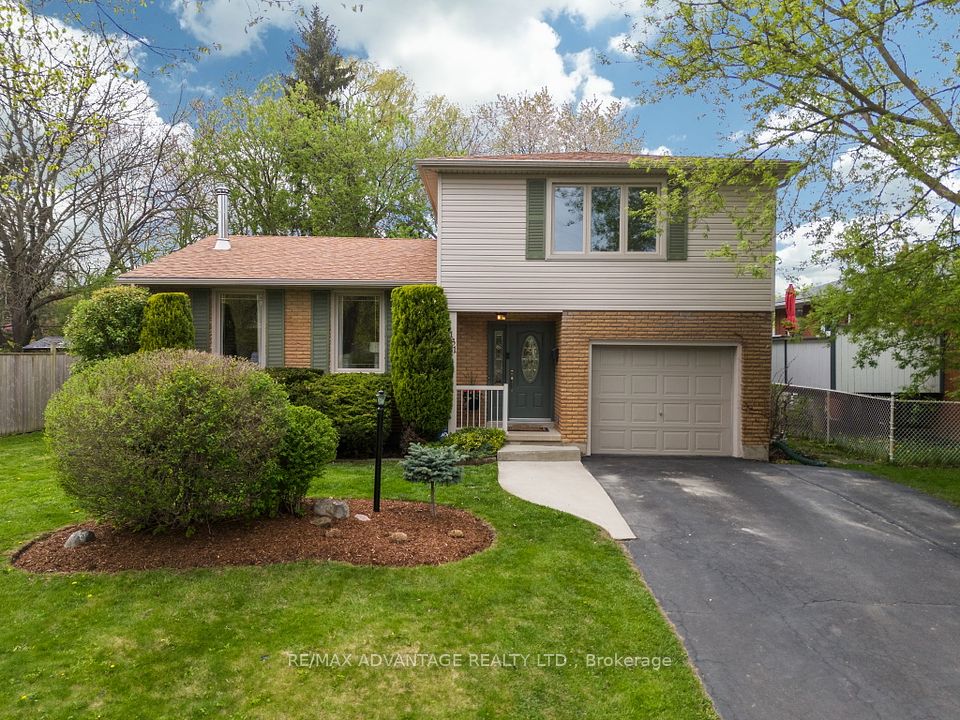 131 Scotchpine