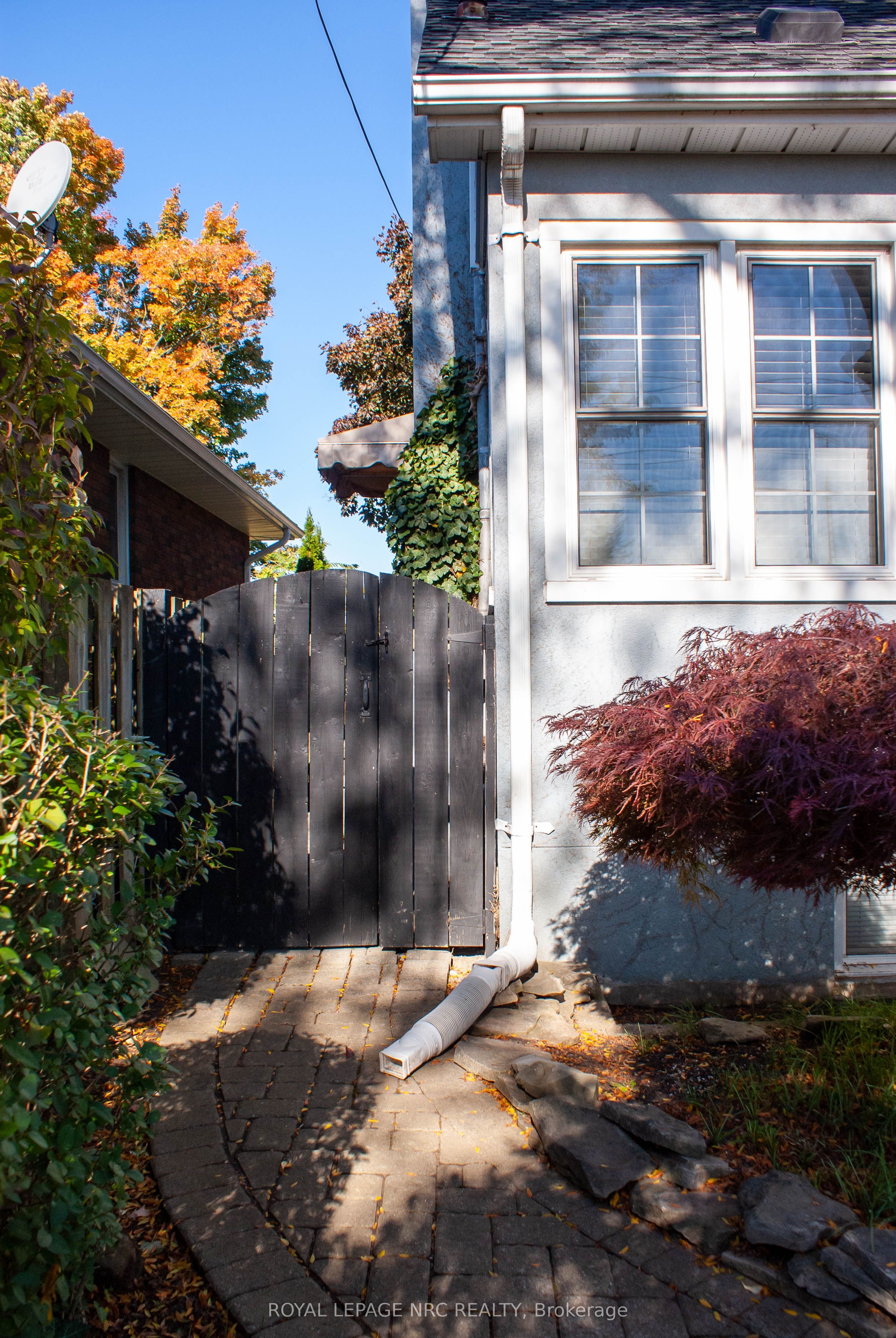 553 Carlton Street