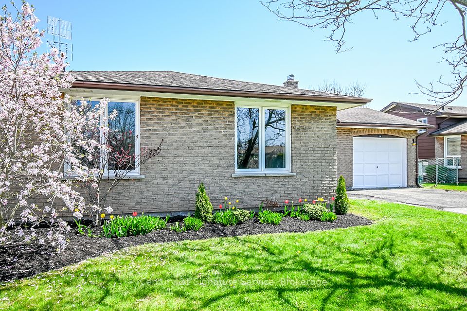 64 Elmvale
