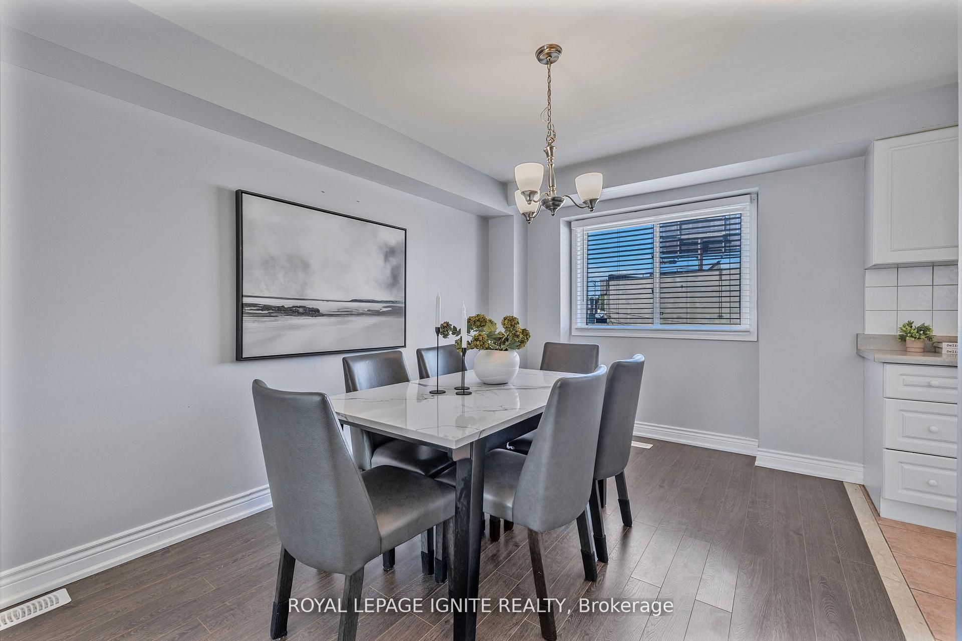 12 Eli Shackleton Court