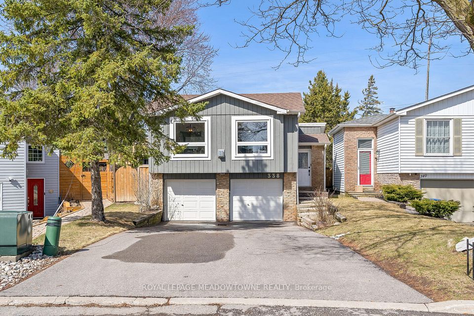 338 Whitehead