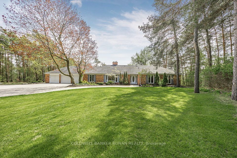 3 Pyne Hills