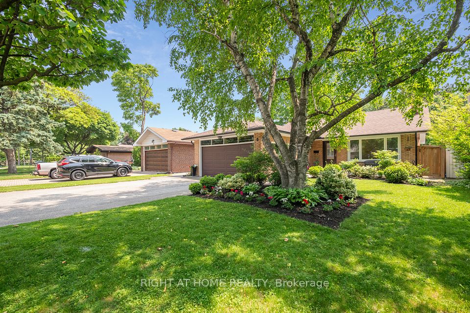 6 Bearbury
