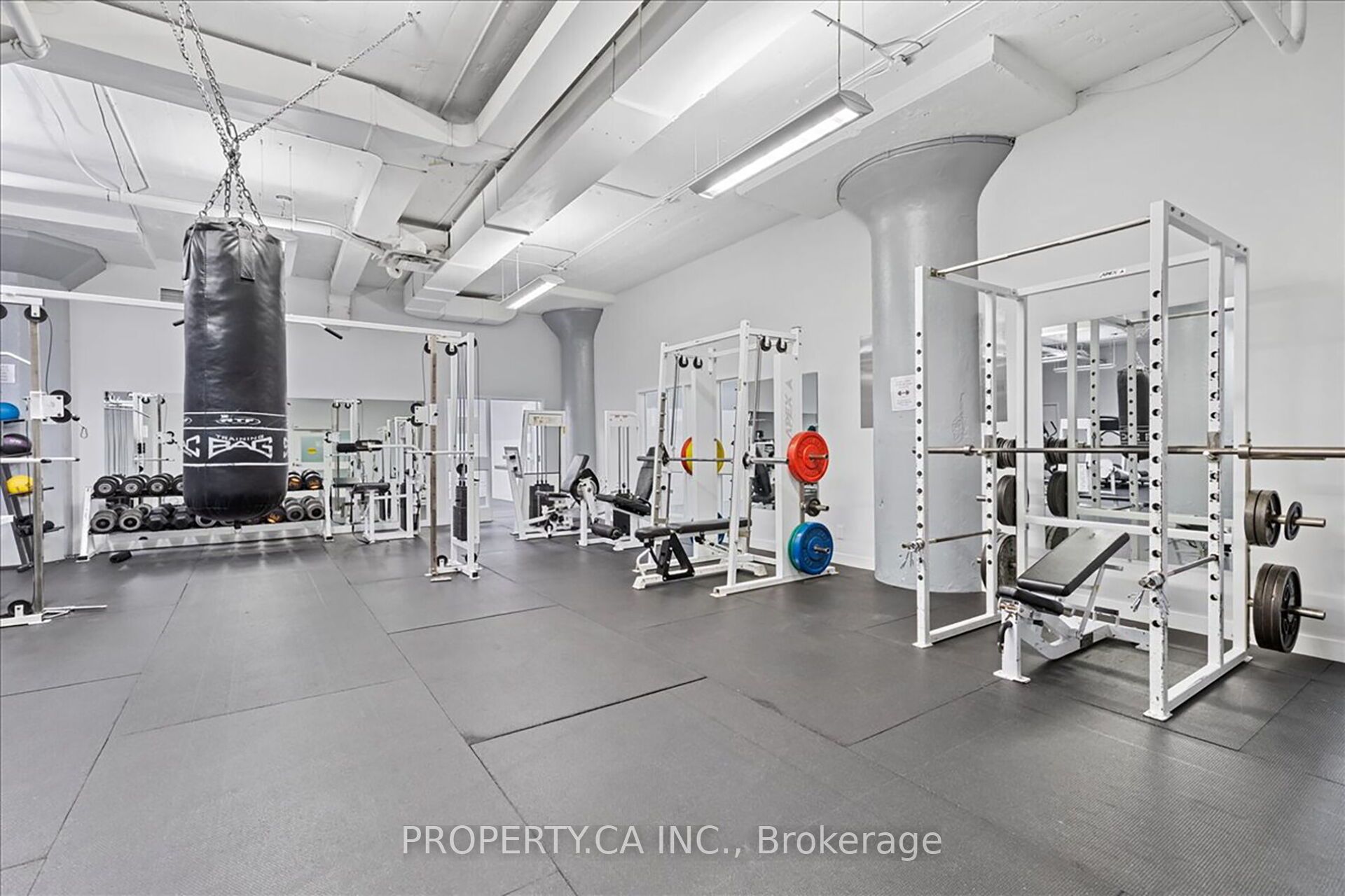 155 Dalhousie Street, #1017