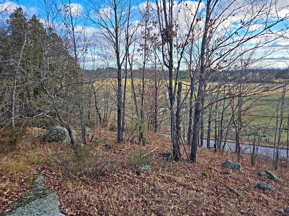 Investment Listing Photo