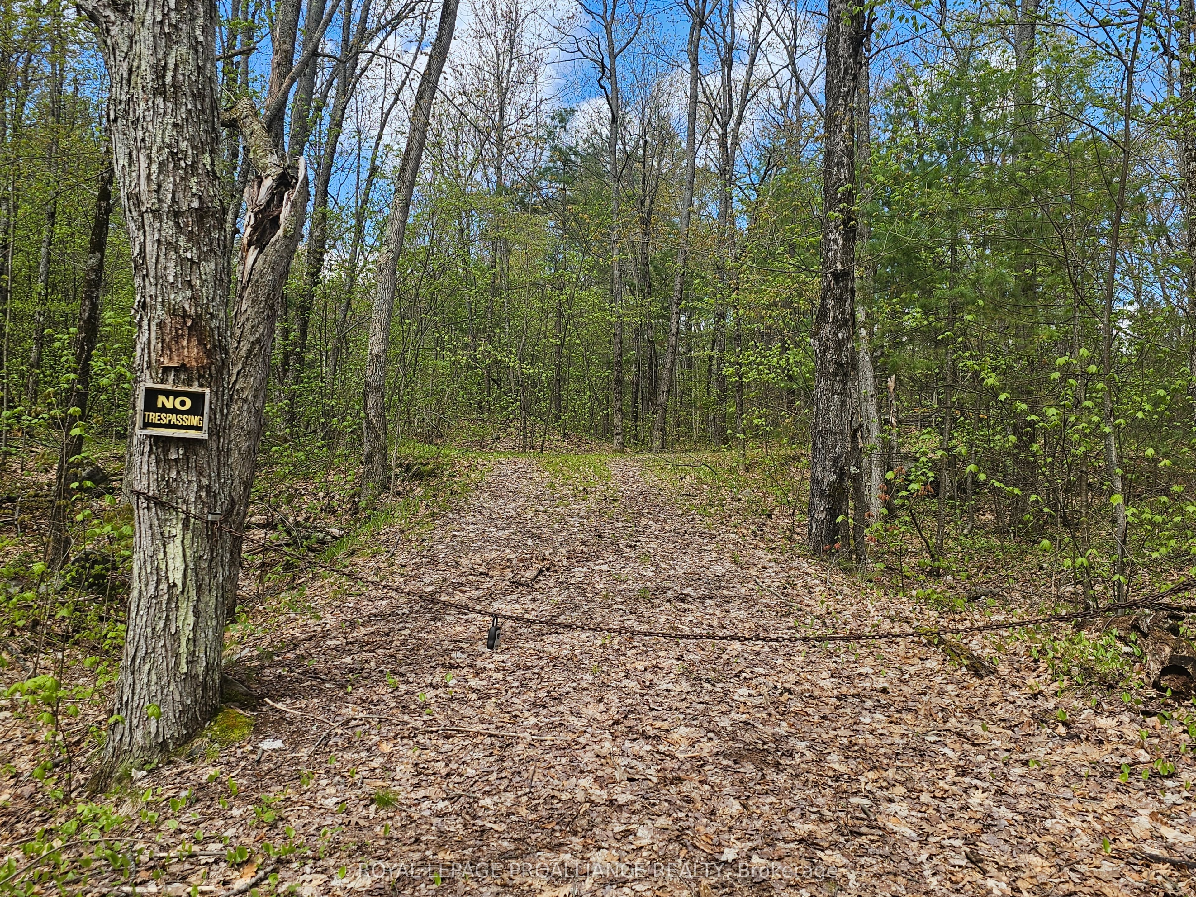 2924 Alf's Bay Lane, Frontenac, ON K0H 1B0