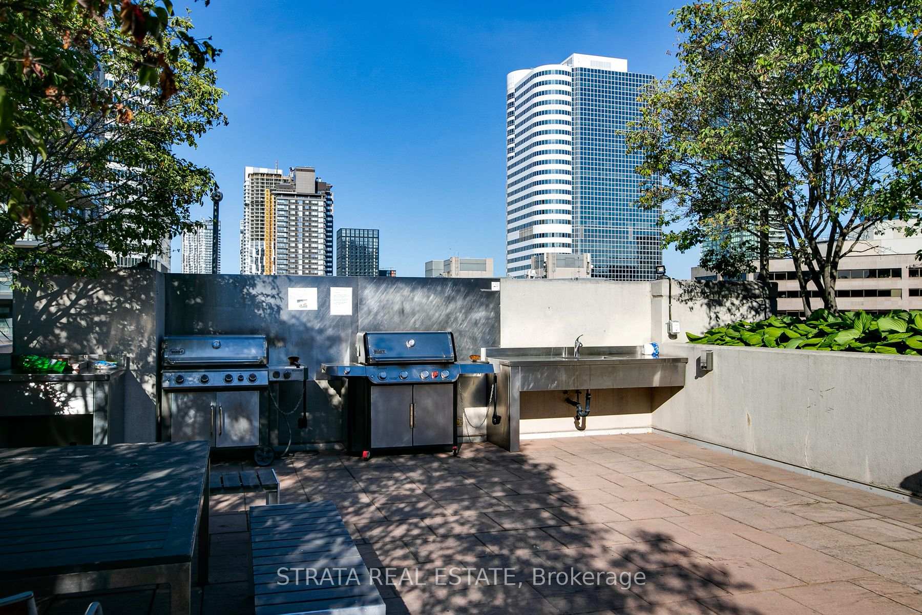 1 Bedroom Condo at 111 Elizabeth, Toronto For sale