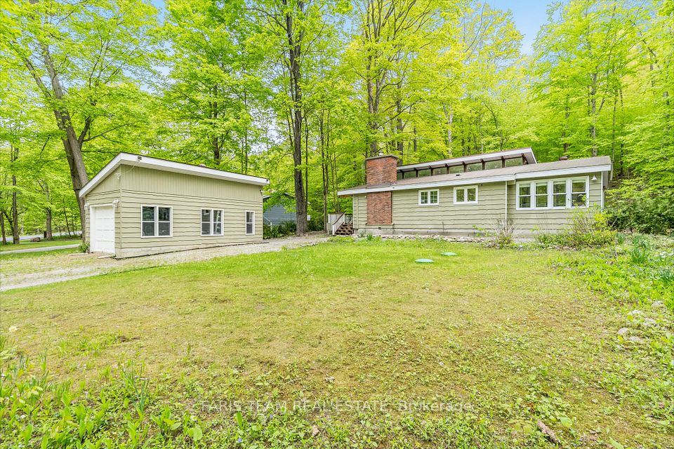 105 Silver Birch