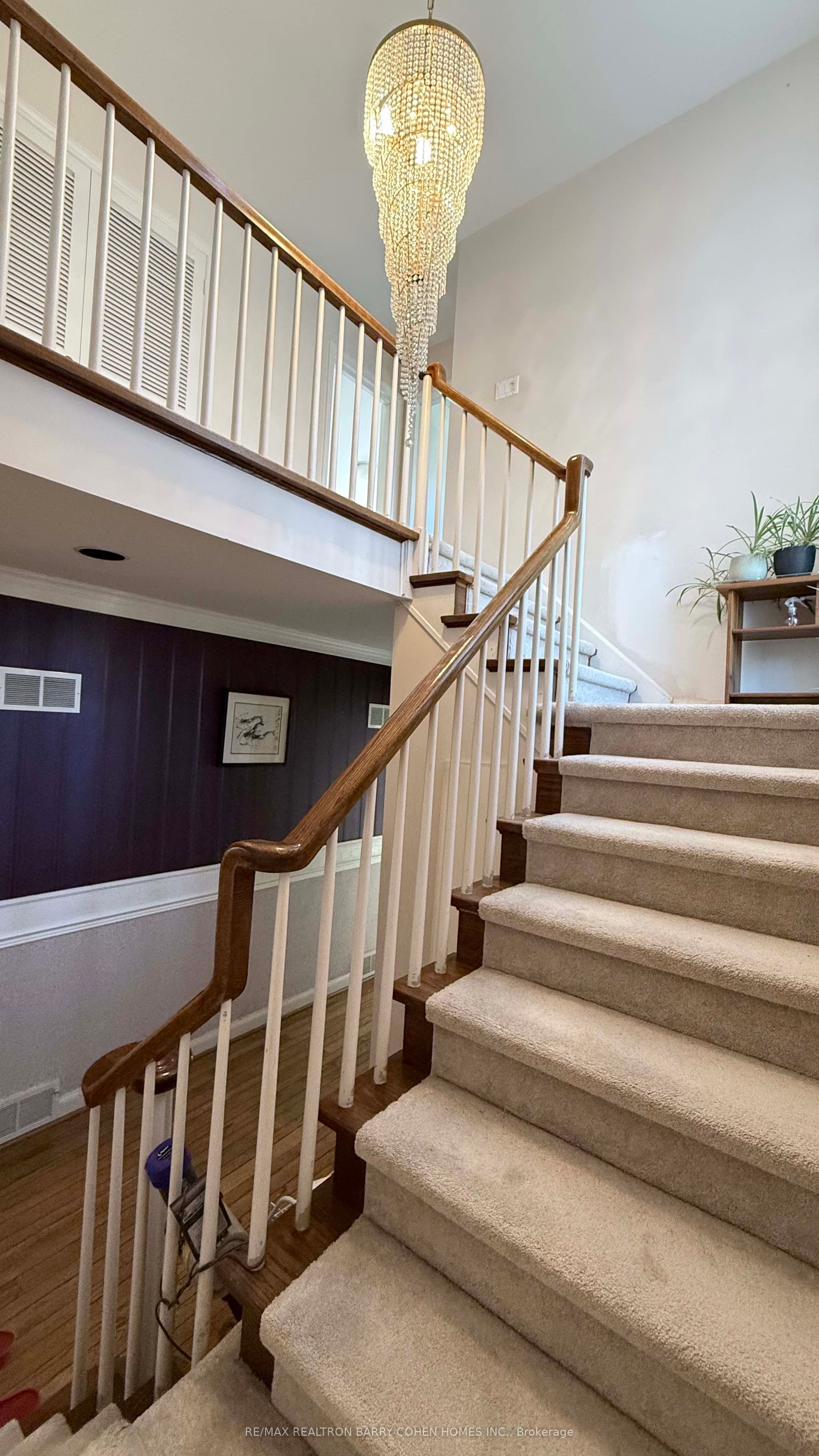 37 Wilket Road