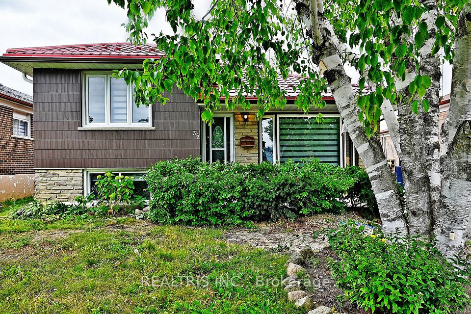 36 Tealham