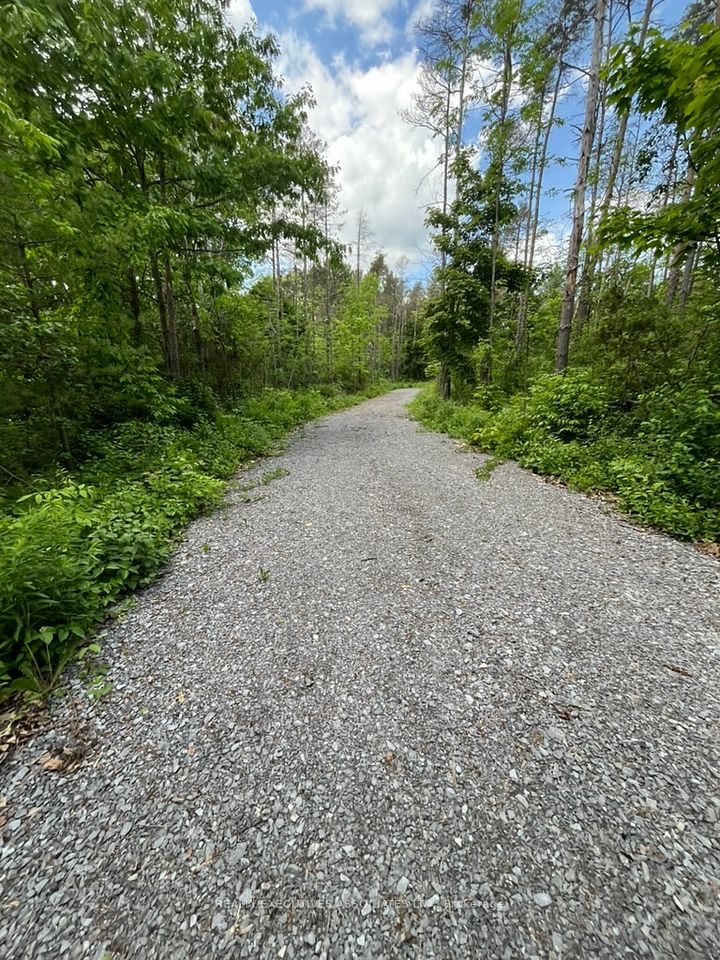 6192 County Rd 50 Road, Trent Hills, ON K0L 1L0