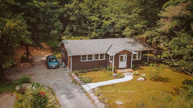 258 Mountain