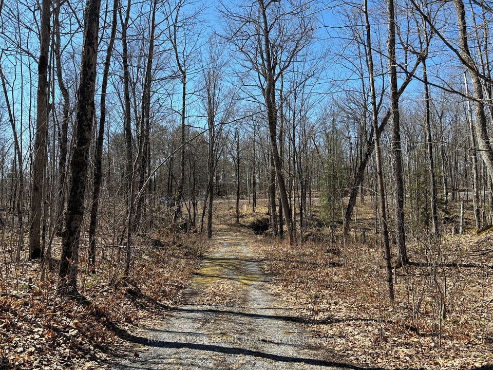 185 Julian Lake