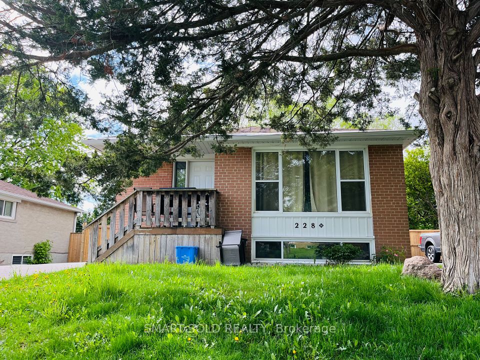 228 Silverbirch