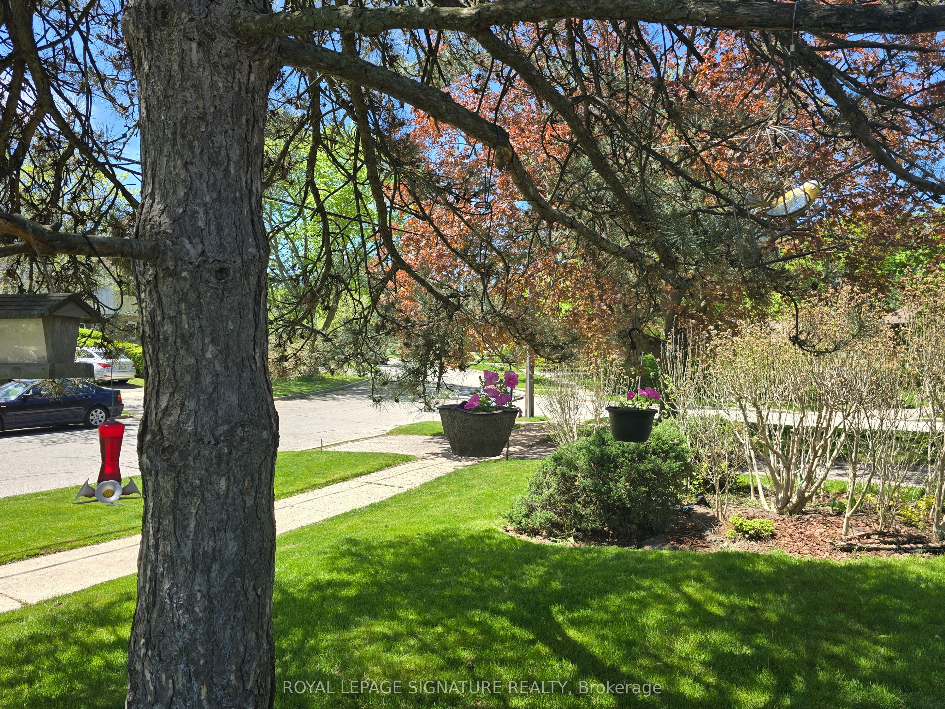 77 Botany Hill Road