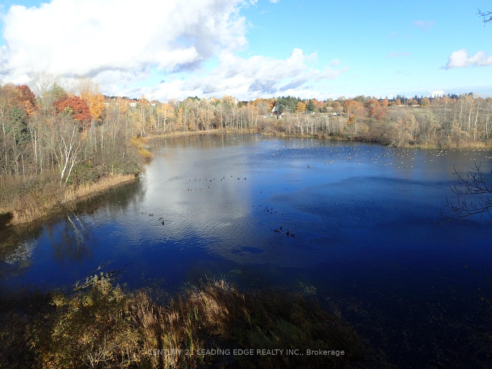 3536 Bloomington Road, Whitchurch-Stouffville, ON L4A 4A2