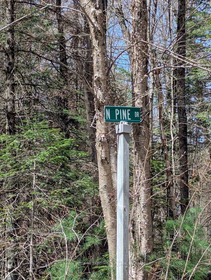 0 N Pine