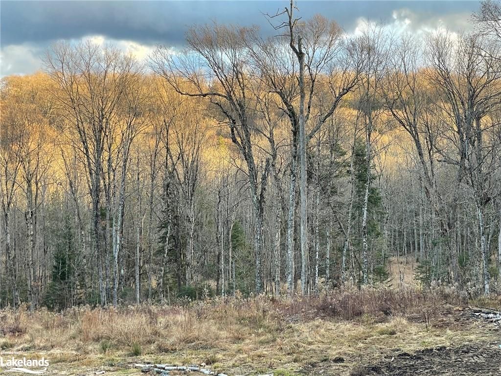 View of nature