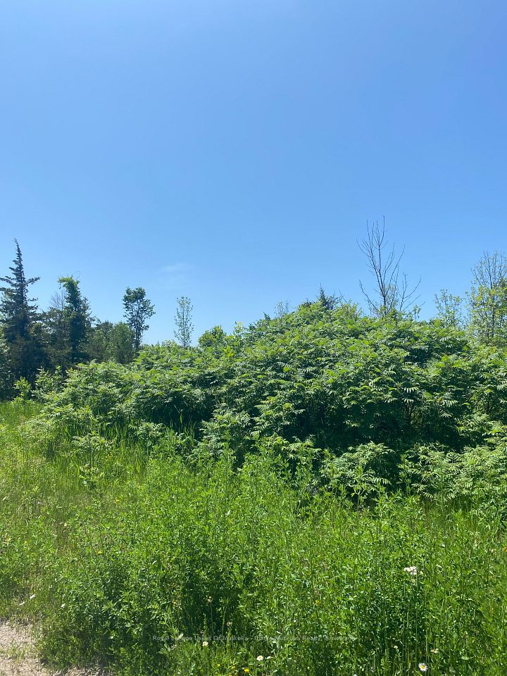 155 Hillside Drive