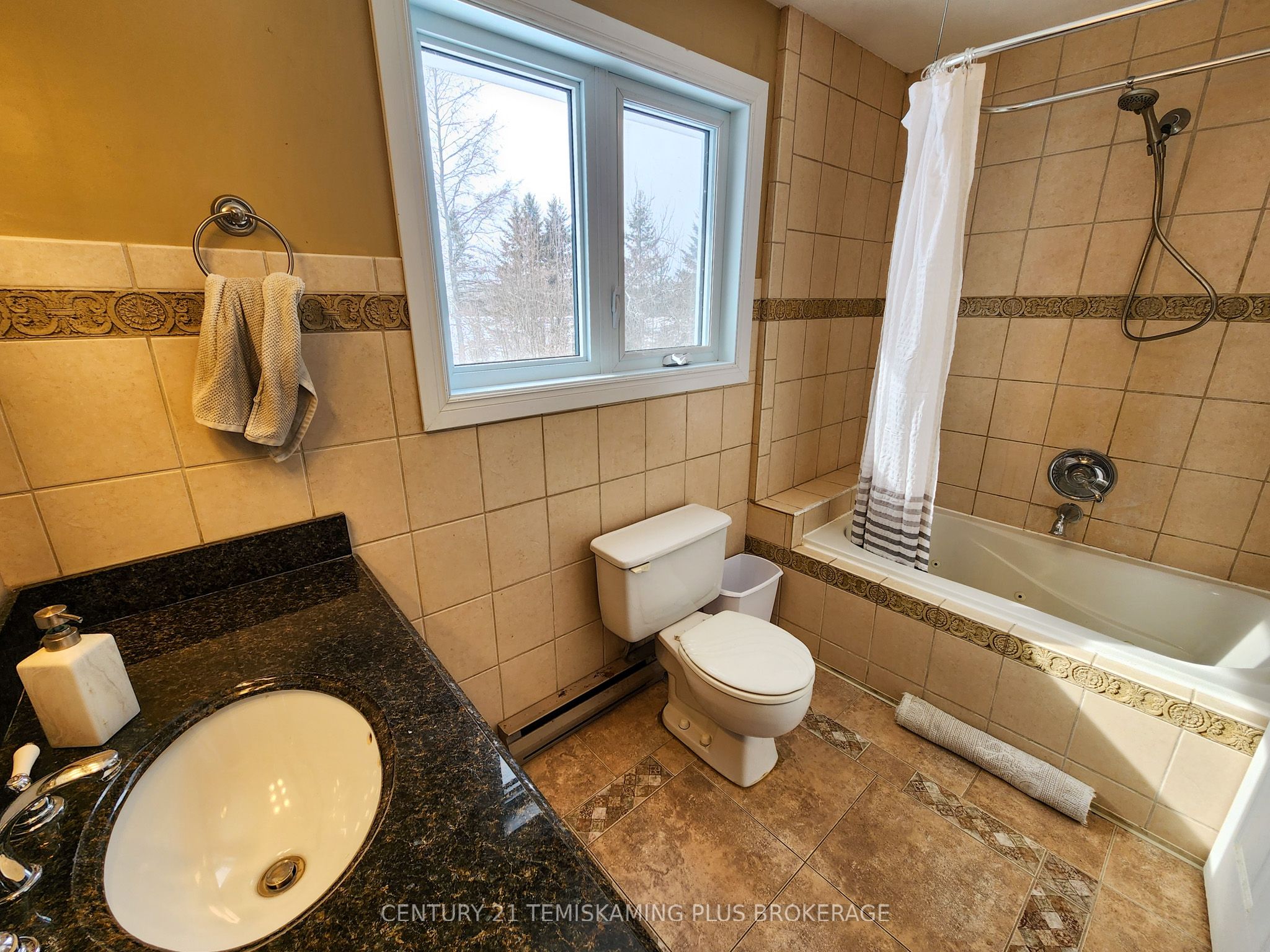 234038 Dairy Lane, Evanturel