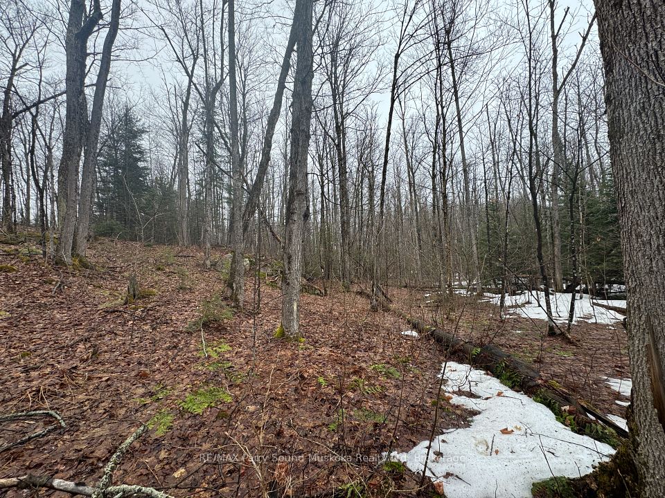 522340036 Pine Grove