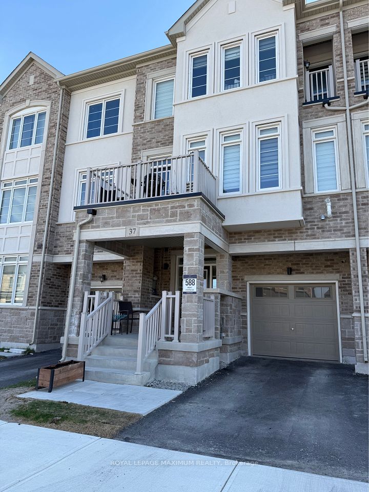 37 Montrose
