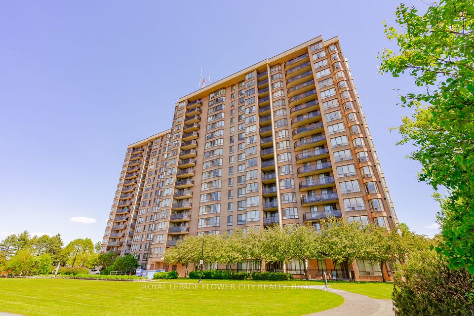 20 Cherrytree