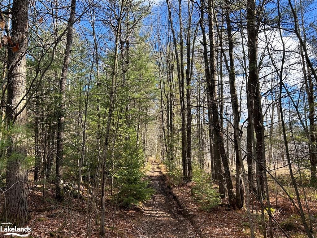 almost 400 acres of land