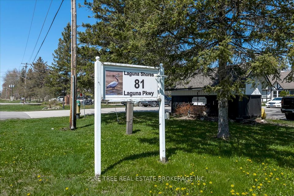 81 Laguna