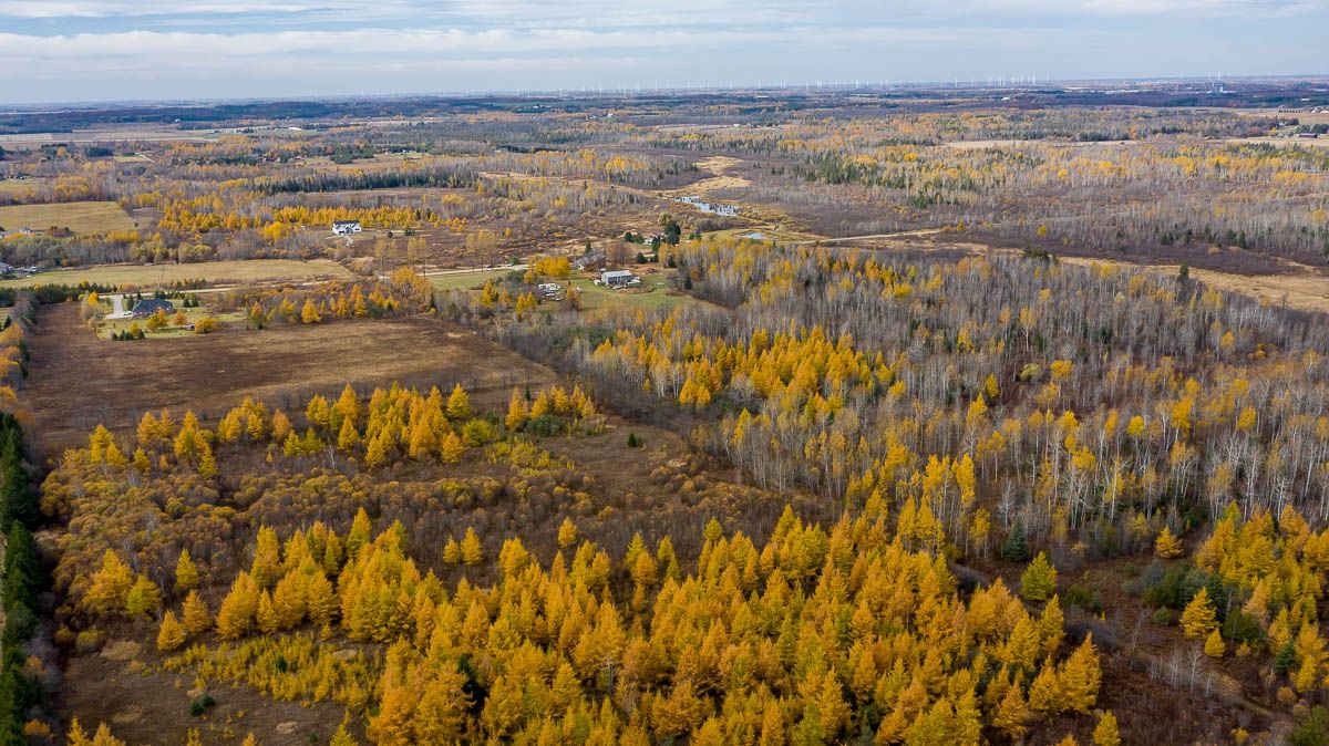 595133 Blind Line Mono Ontario L9W 5N4