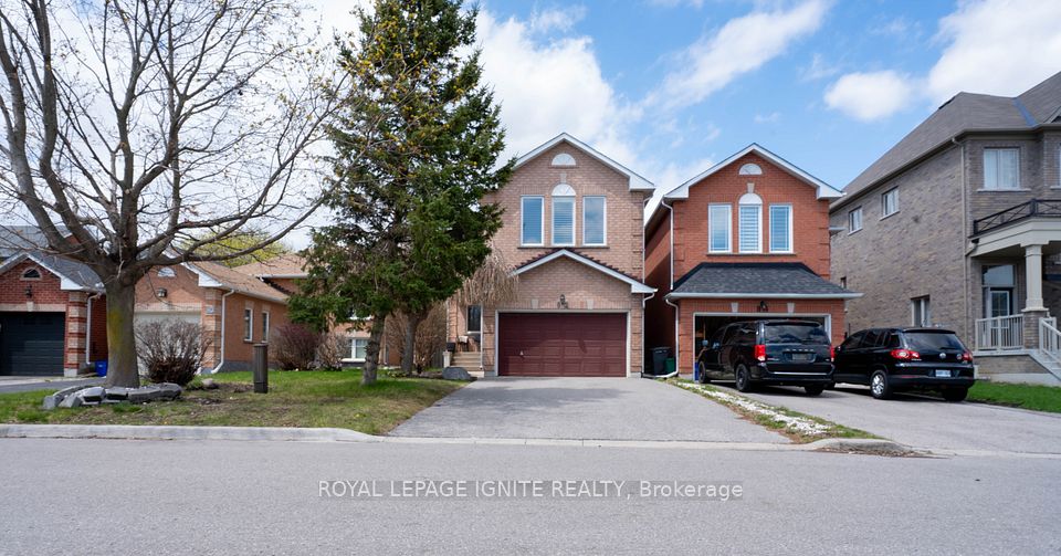 82 Elephant Hill