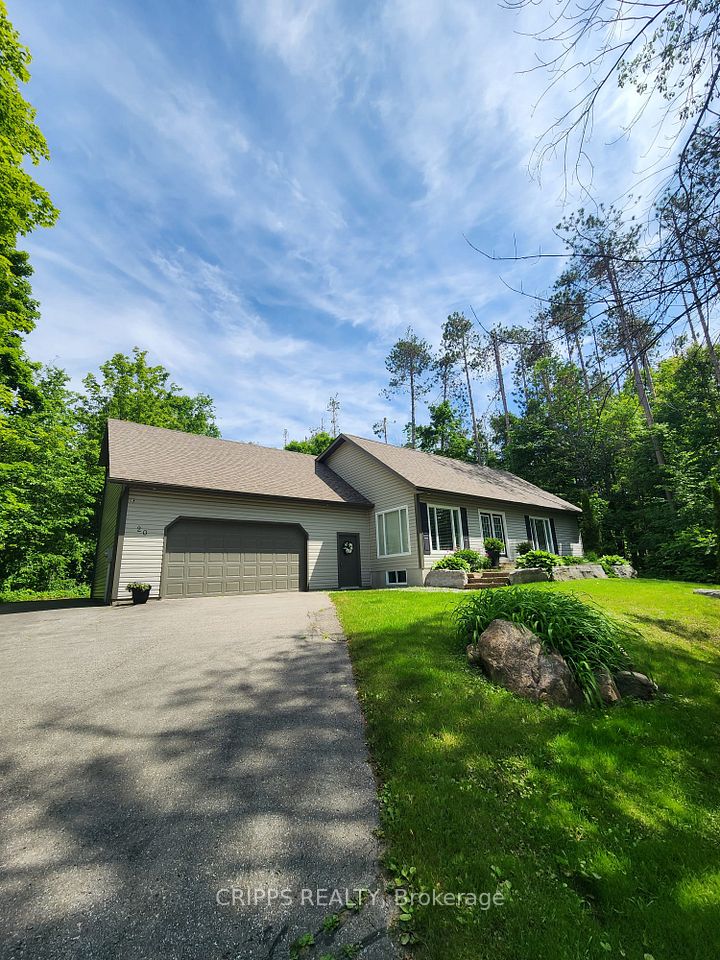 20 Cathedral Pines