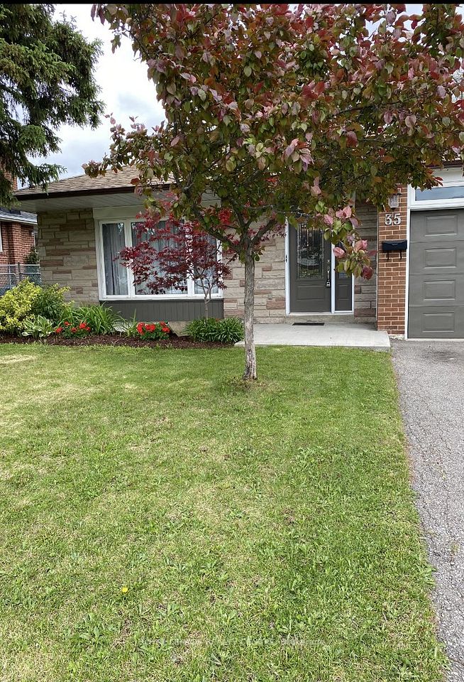 35 Aintree Crescent, Brampton, ON L6T 2T2