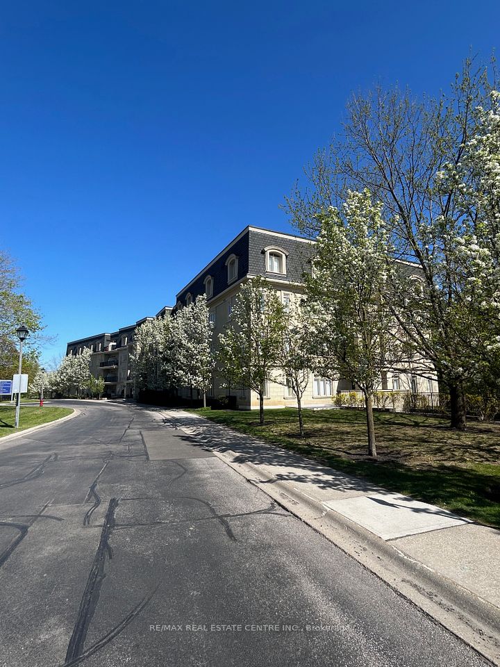 443 Centennial Forest