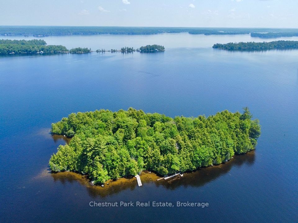 1 Cedar Island