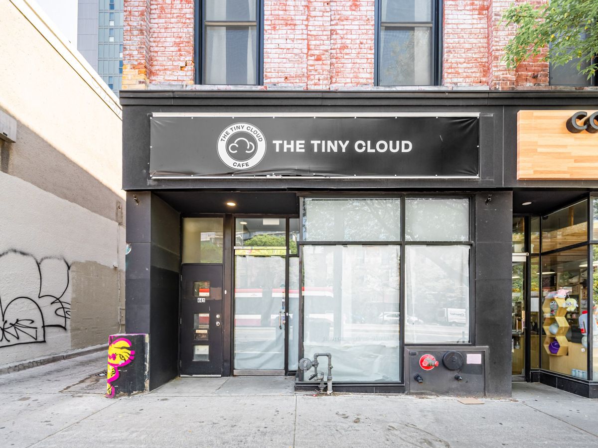 439 Spadina Avenue Toronto C01 Ontario M5T 2G6