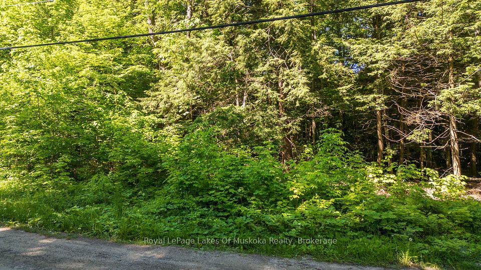 Investment Listing Photo