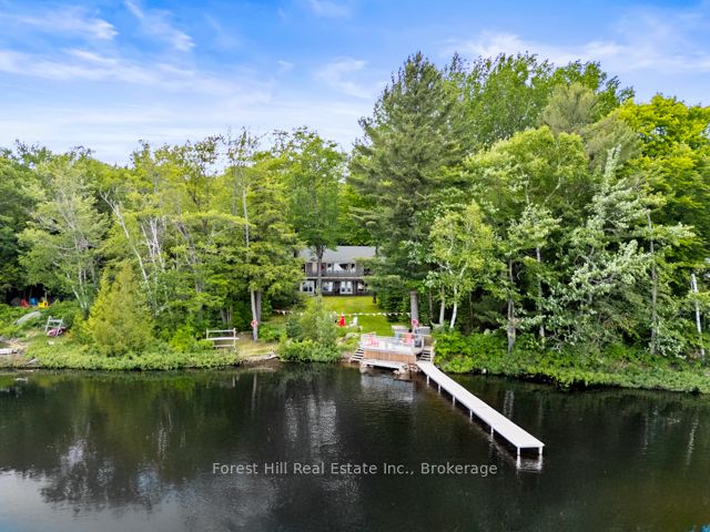 1137 Dickie Lake