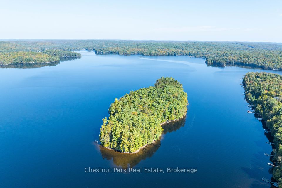 10000 Soyers - Brown Island