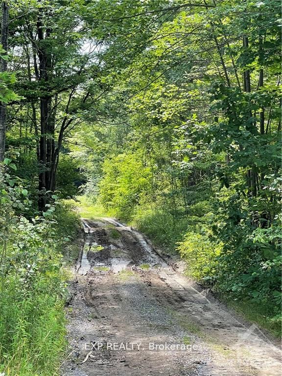 00 B CONCESSION ROAD 4