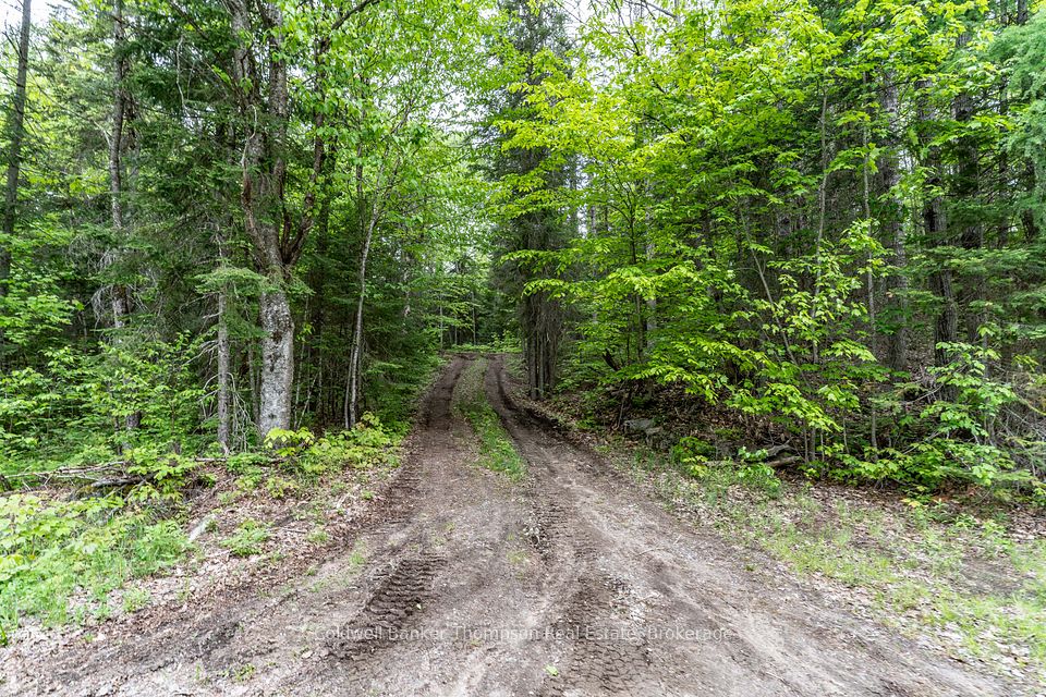 2524 Fern Glen