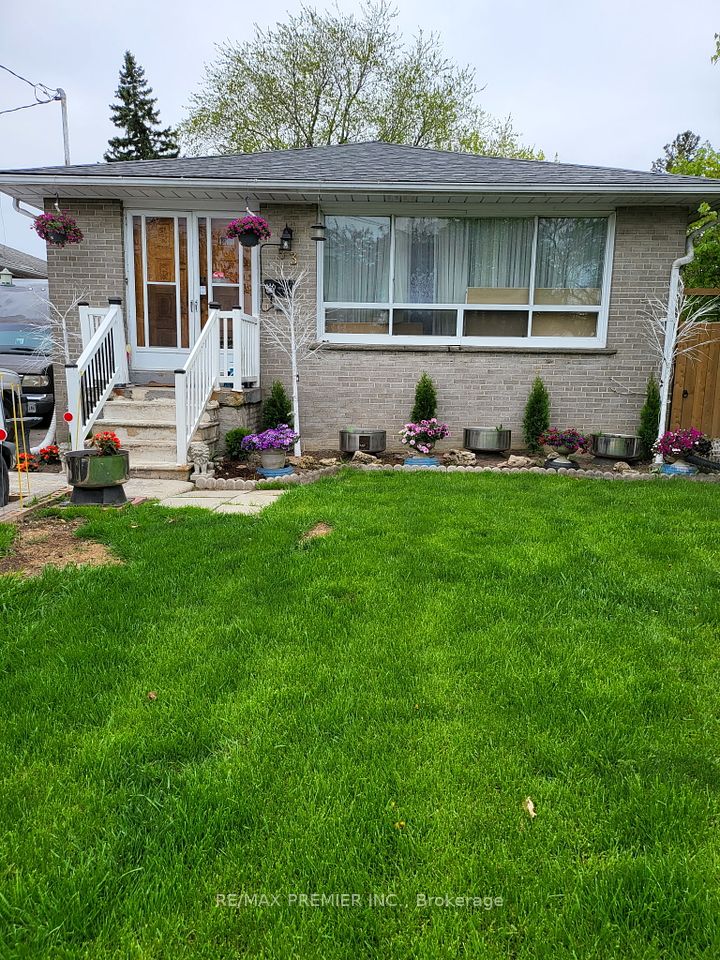 53 Rosefair