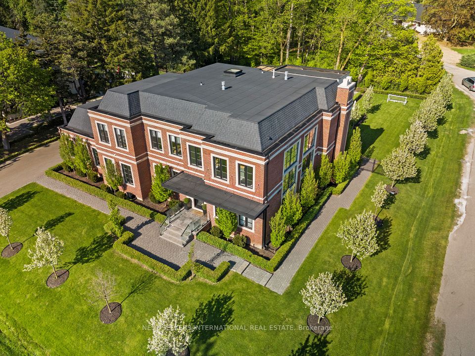 6 Forestave