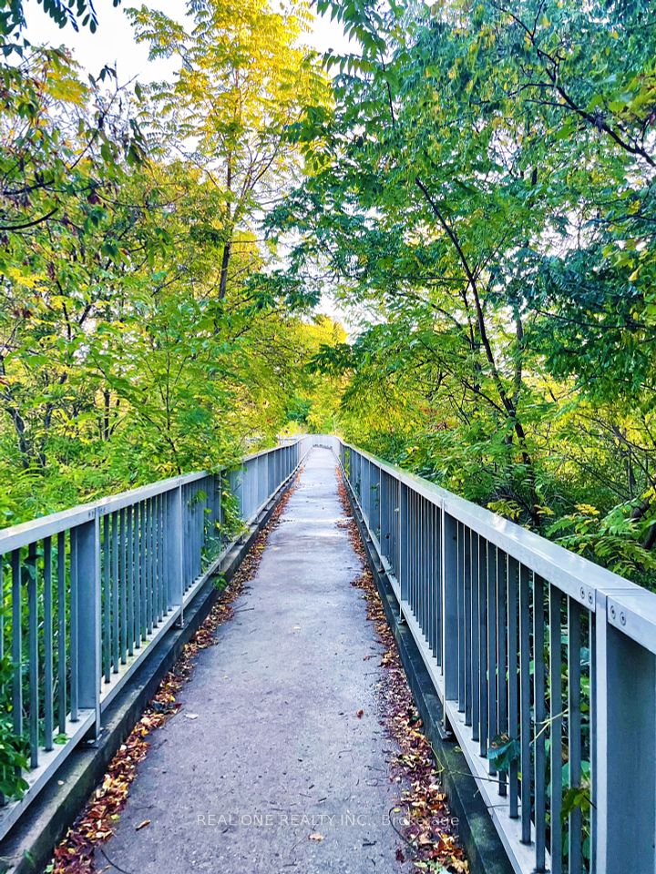 TooGood Pond Trail