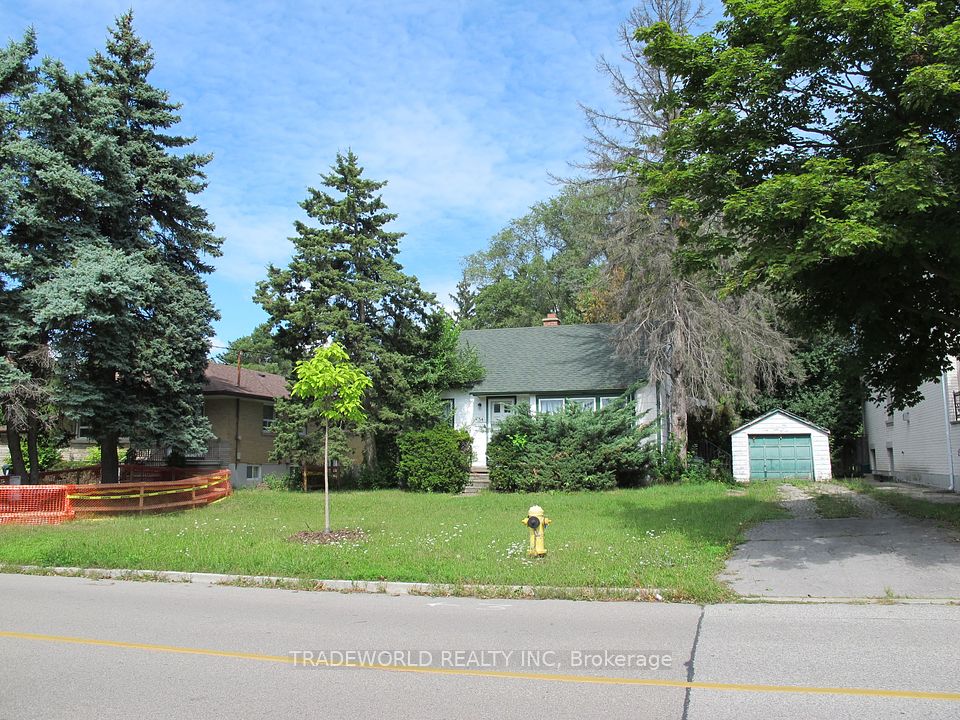54 Wedgewood